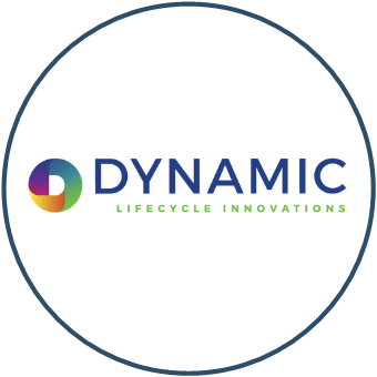 Dynamic Lifecycle Innovations